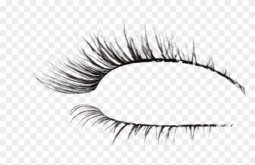 Pestañas Png Para Photoscape - Eyelashes For Photoshop Clipart #4251219