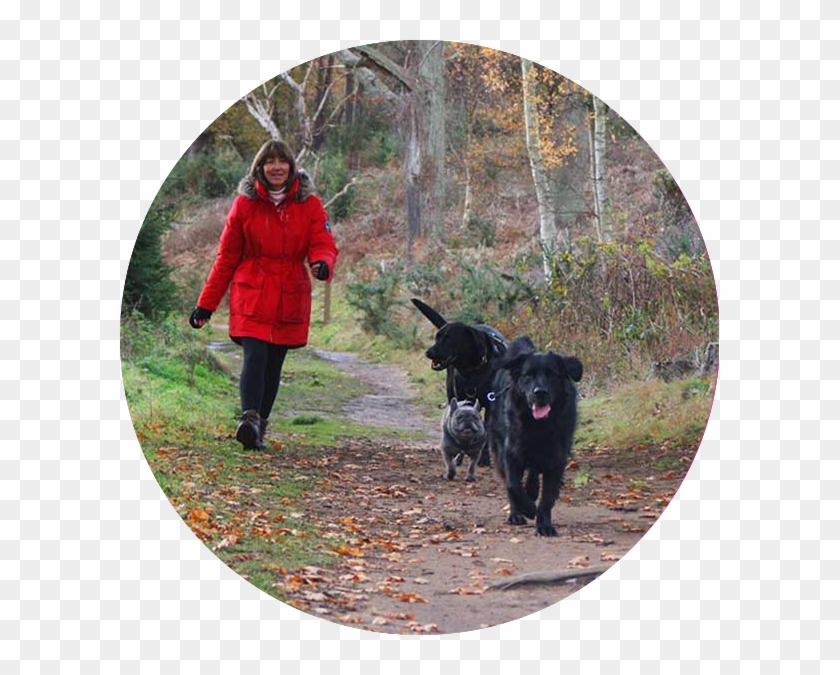 Move Map - Companion Dog Clipart #4251308