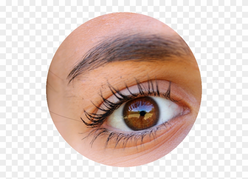 Rizado De Pestañas - Microblading Offer Clipart #4251604