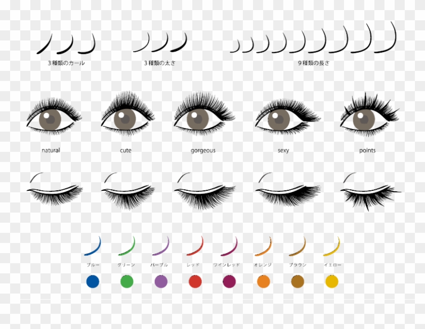 Pestañas Mink, Pestañas Postizas, Extensiones De Pestañas, - Types Of Eyelash Extensions Styles Clipart