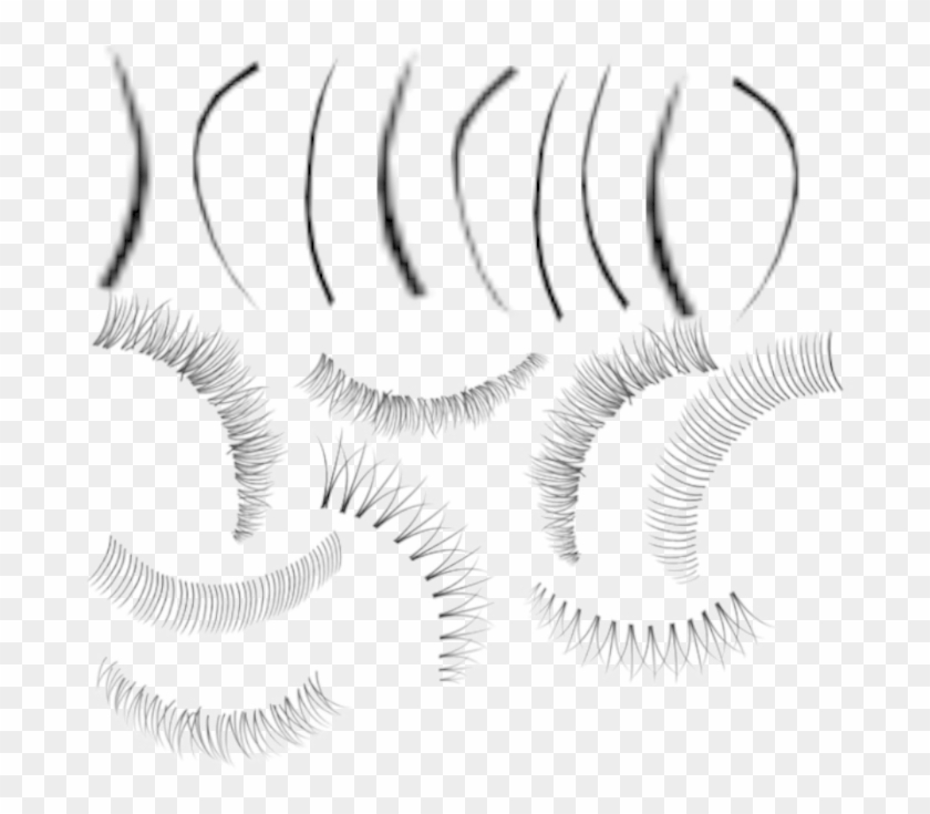 Adobe Photoshop Eyelash Brushes - Eyelash Extensions Clipart