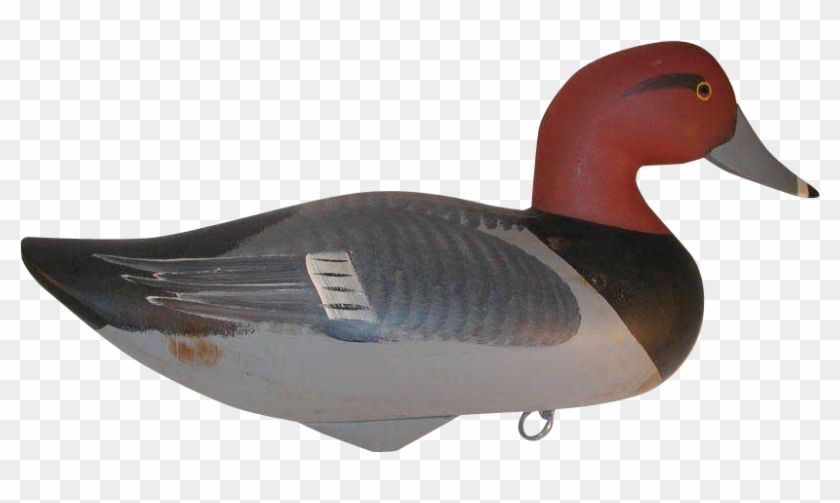 Contemporary Carved Wood Redhead Duck Decoy By Jim - Canvasback Duck Clipart