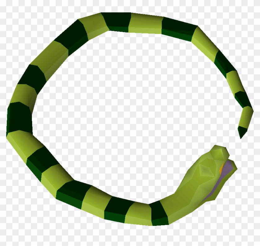 Sports Equipment Clipart