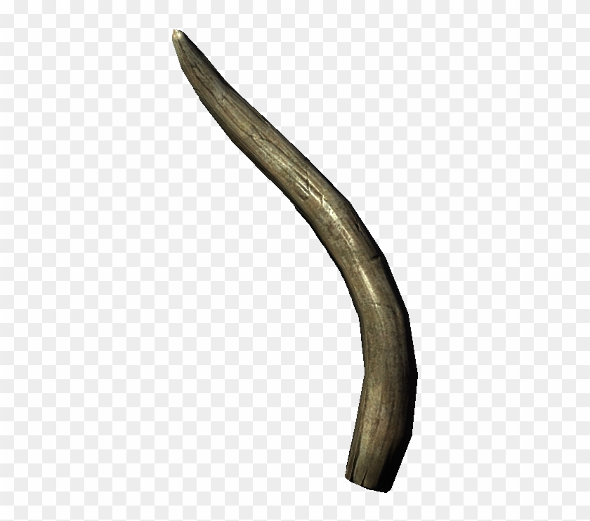 Бивень Мамонта Png Clipart