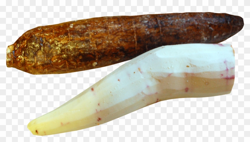 Cassava Peeled Png Image - Cassava Peeled Clipart