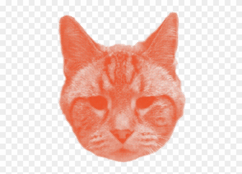 Tabby Cat Clipart #4255187