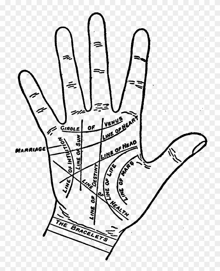Party Fortune Telling - Do The Lines On Your Hands Mean Clipart #4255315