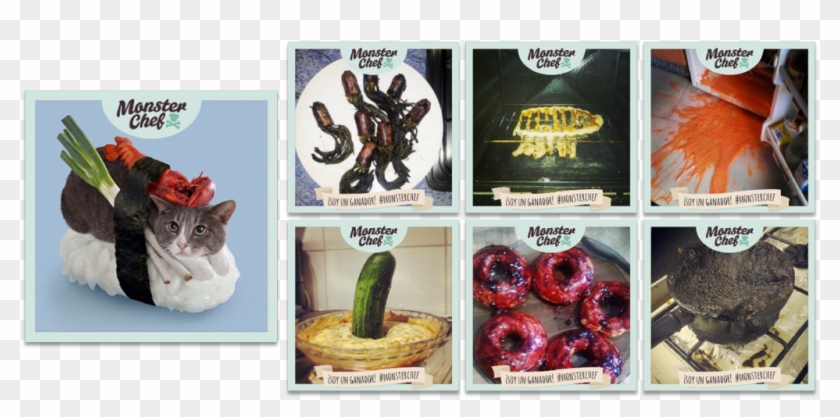 Monsterchef - Domestic Short-haired Cat Clipart