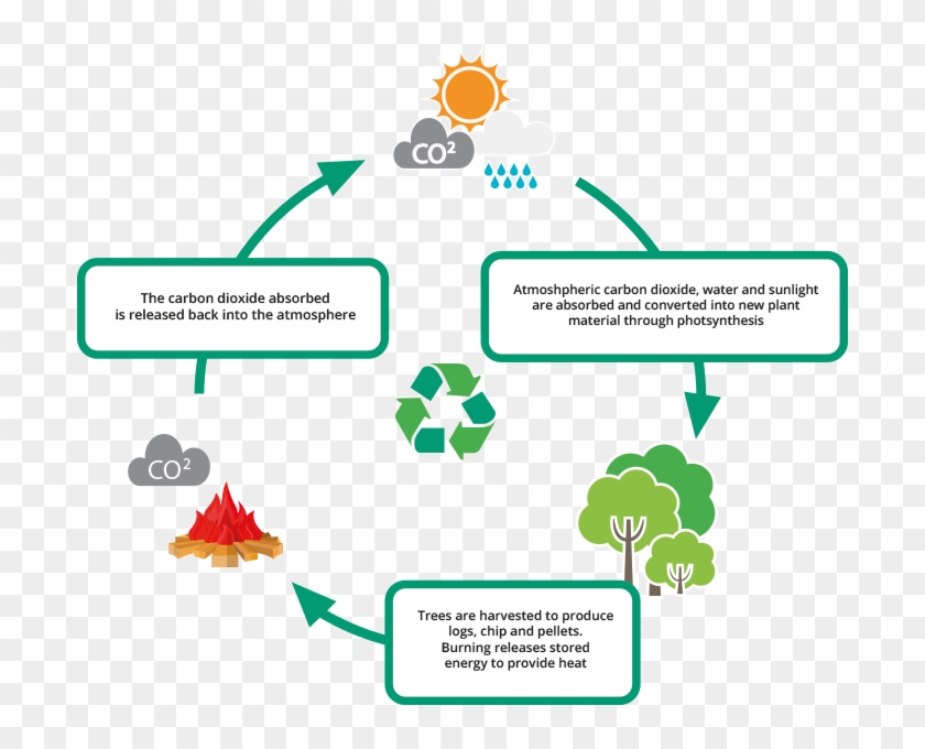 Is It Cheaper To Use Fire Wood - Carbon Cycle Burning Wood Clipart