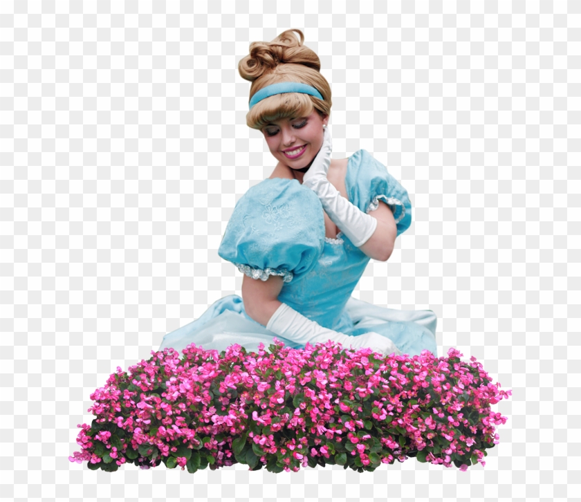 Cenicienta-02 - Днем Рождения 20 Лет Clipart #4256611