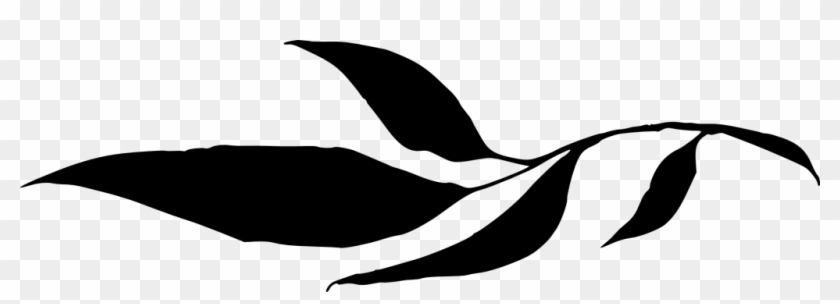 Png File Size - Leaf Silhouette Png White Clipart
