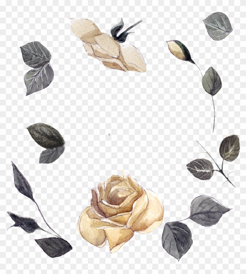 #roses #frame #floatingleaves #flowers #frame #border - Garden Roses Clipart #4258649