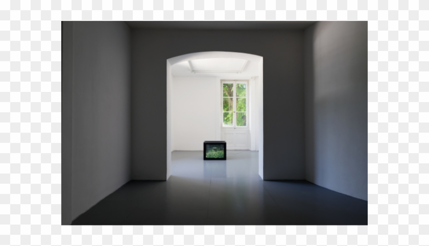 «first Star, Last Snowflake Gaëlle Boucand, Edouard - Floor Clipart