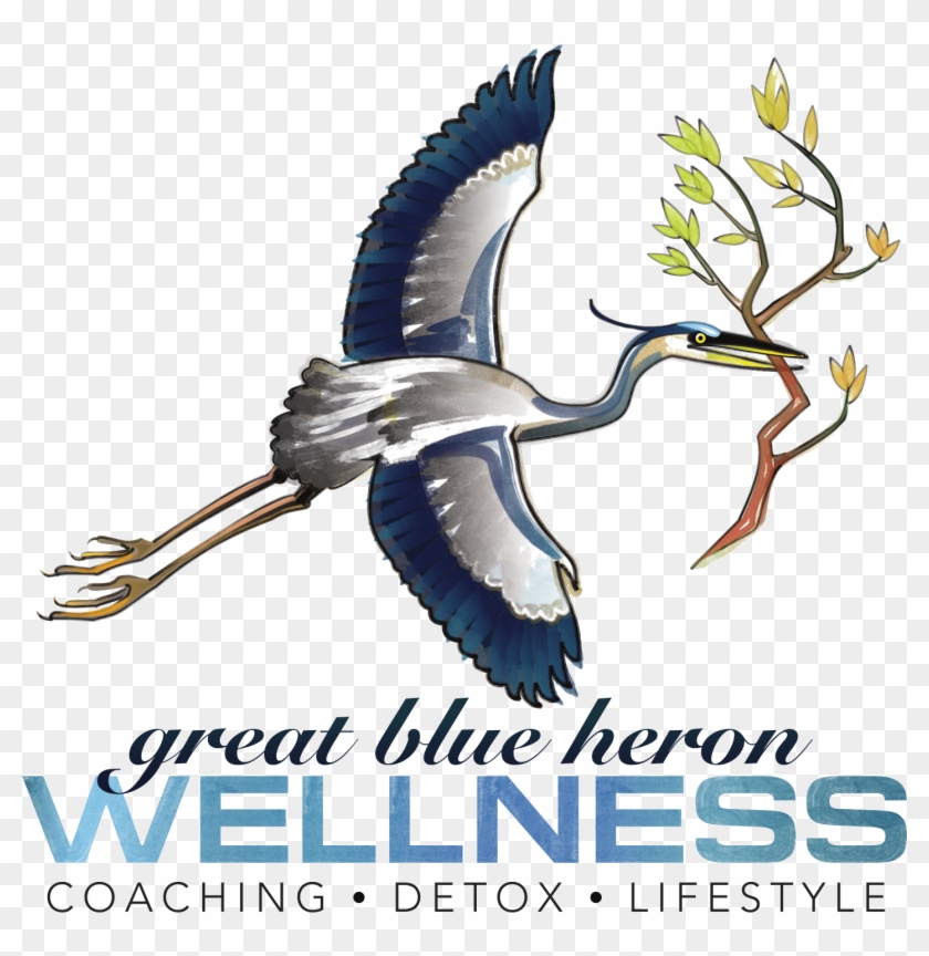 Blue Heron Clipart Transparent - Waterfowl - Png Download #4261228