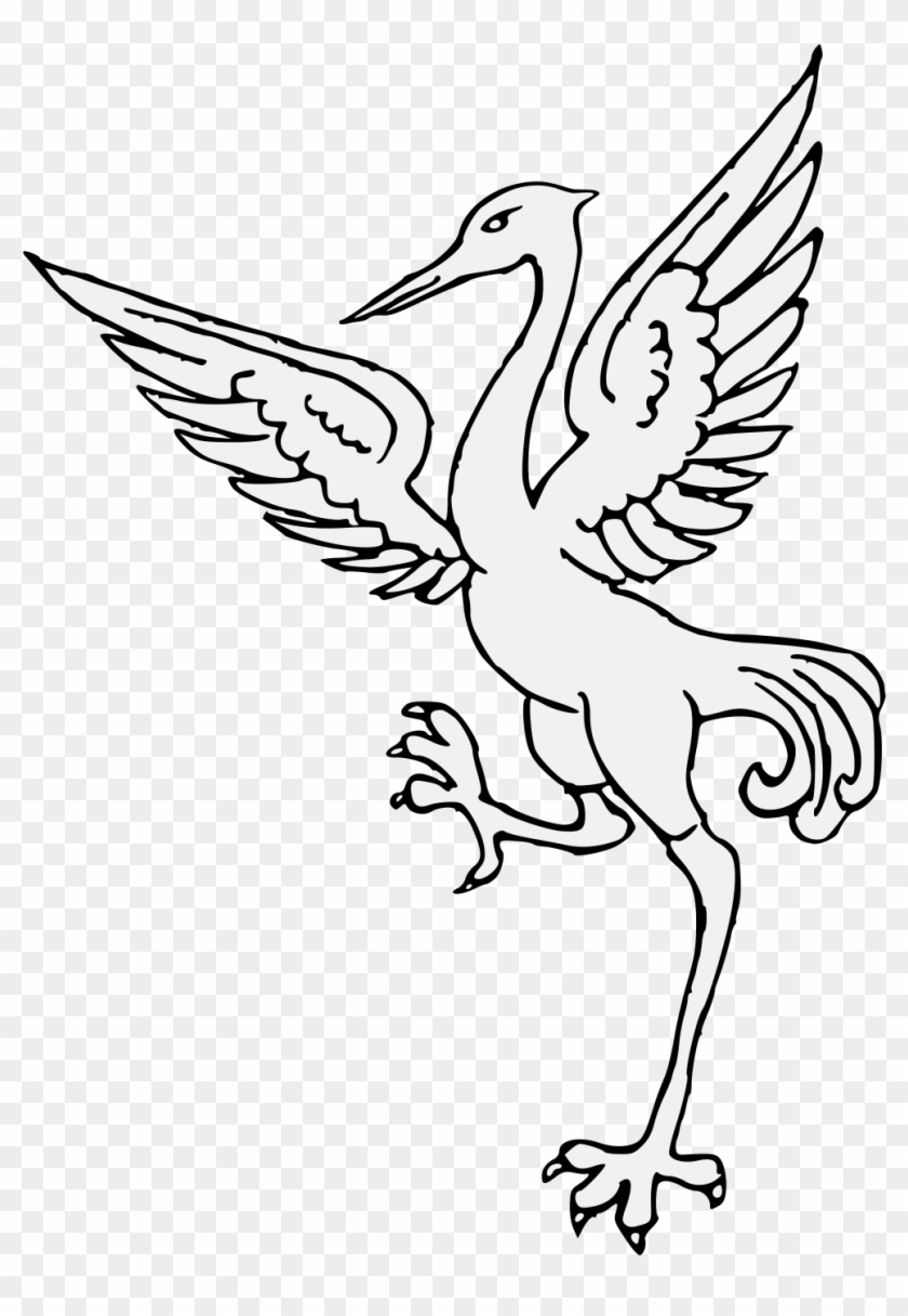 Details, Png - Water Bird Clipart