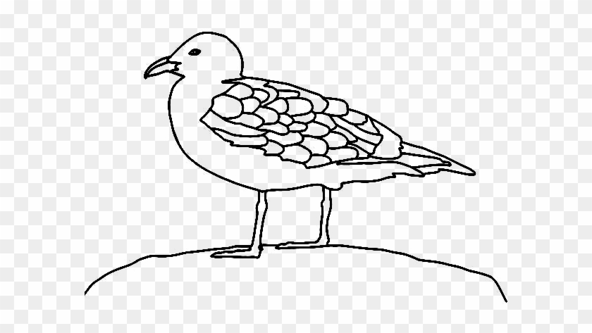 Gaviota-dibujo - Shorebird Clipart #4262209