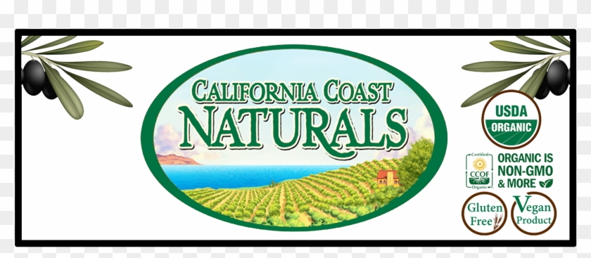 Usda Organic Clipart #4262499