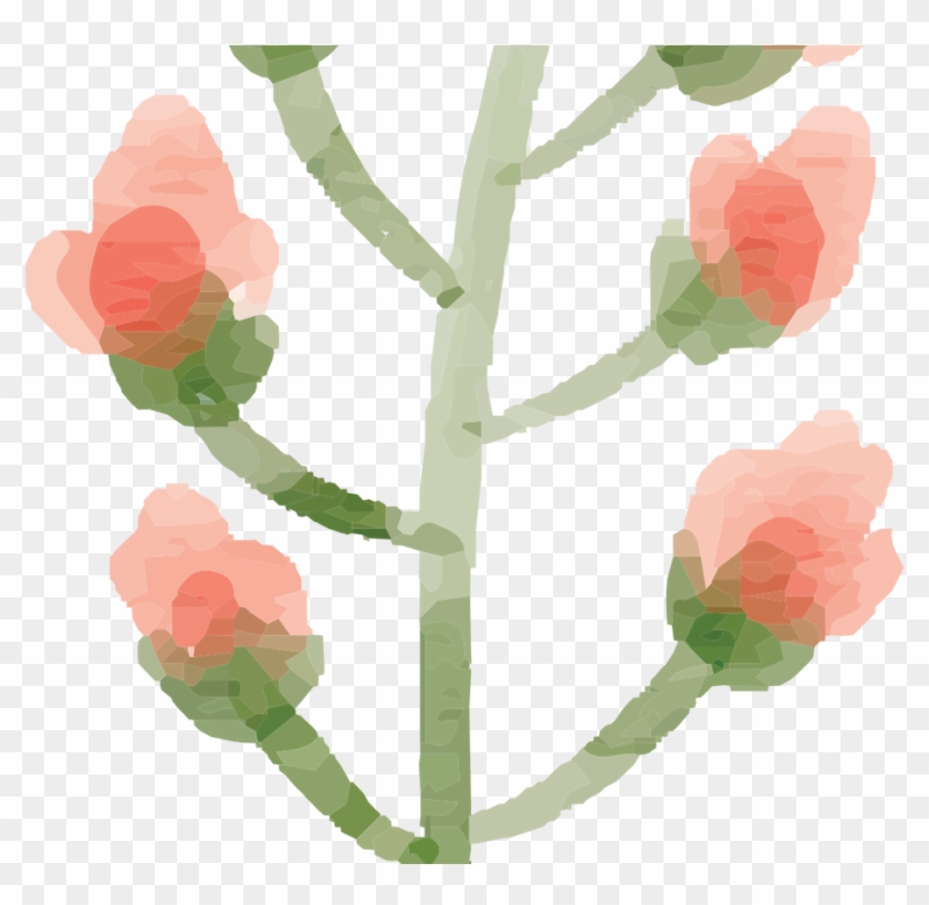 Free Watercolor Flower Images Peach Delight Free Pretty - Garden Roses Clipart (#4262924) - Pikpng