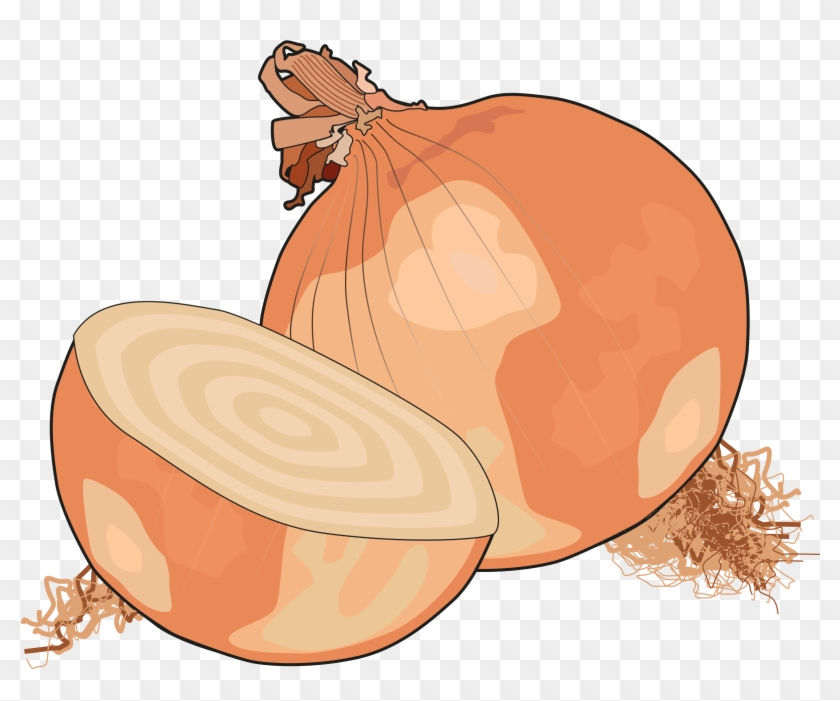 Cebolla - Yellow Onion Clipart #4263447