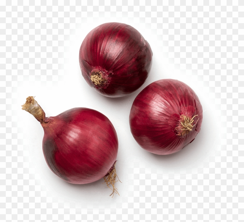 Red Onion Clipart #4263929