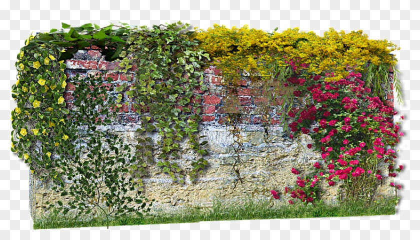 Enredaderas Png Para Photoshop Clipart #4264000