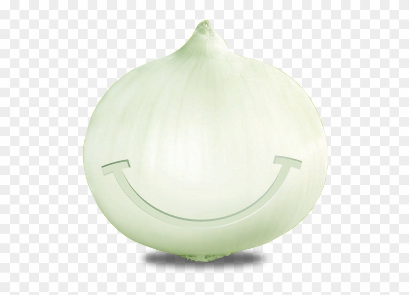 Nuestras Cebollas, No Lloran - Garlic Clipart