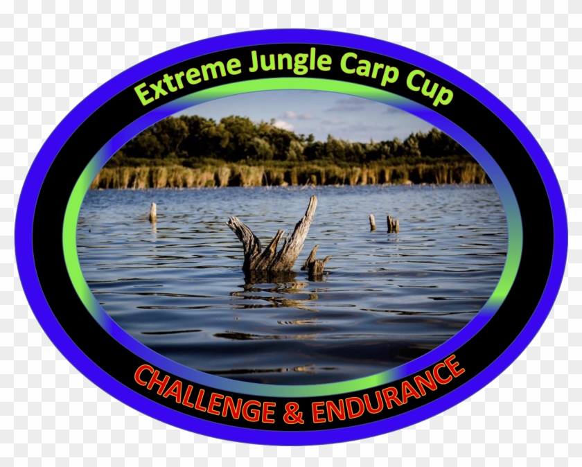 Circle Clipart #4264047