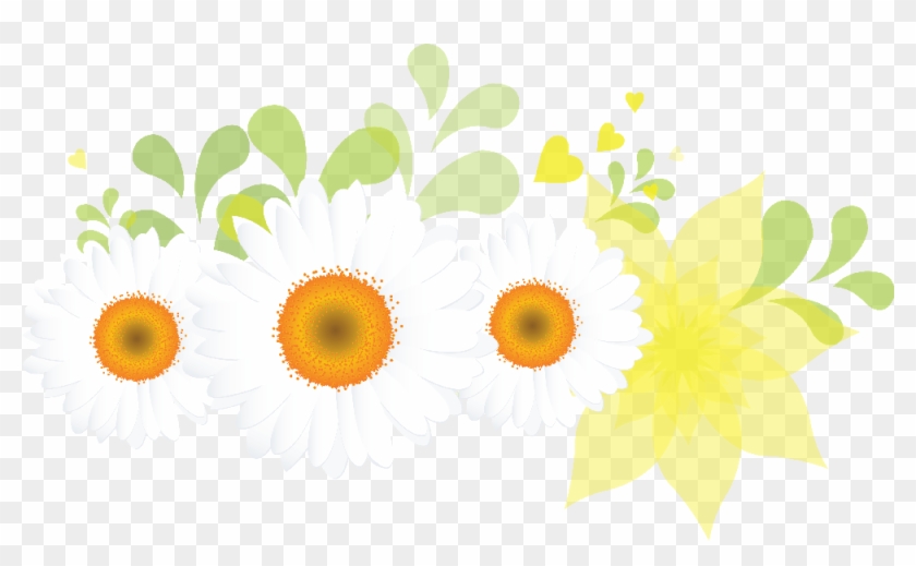Flores - - Daisy Clipart #4264178