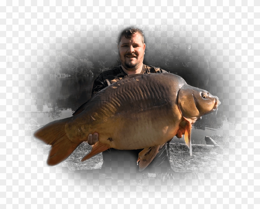 Malhere Carp Garden Carp - Giant Carp Clipart