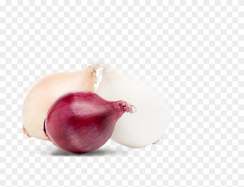 What´s - Red Onion Clipart #4264395