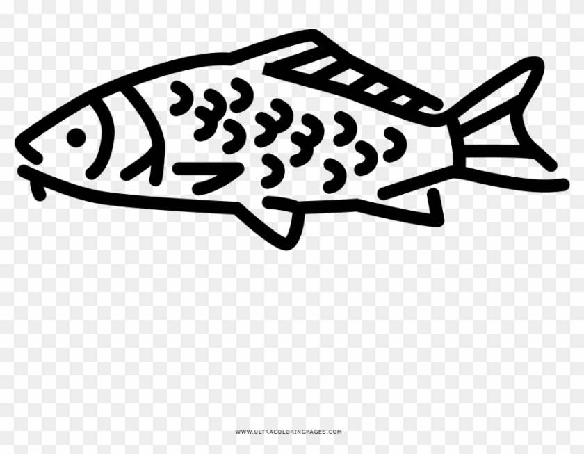Carp Coloring Page Clipart