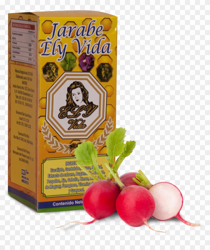 Jarabe-elyvida - Radish Clipart