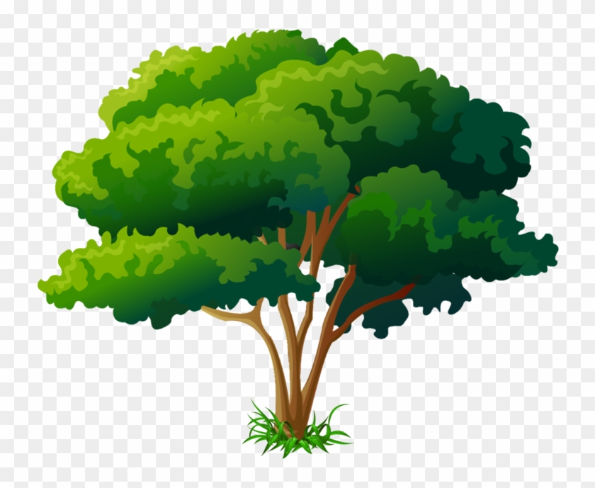 Arbre Png Clipart