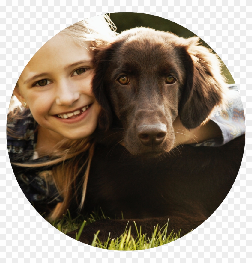 ¡ahora Encontrar A Los Dueños De Un Perro Extraviado - Dog Clipart #4266289