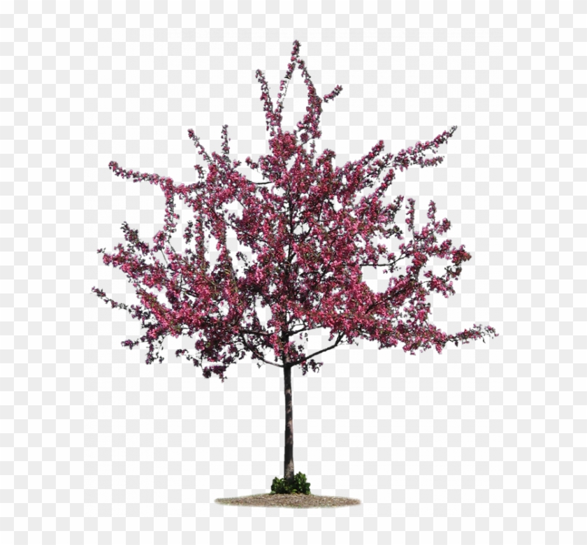 Flower Tree No Background Clipart #4266581