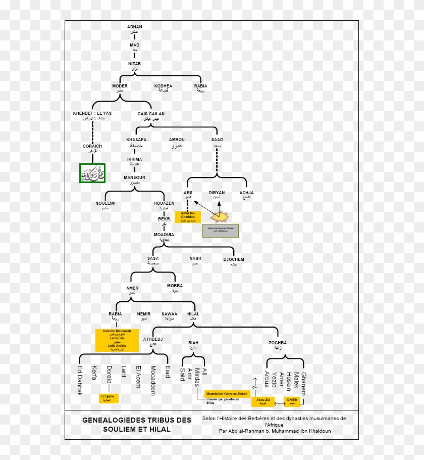 Arbre Généalogique Des Banou Souleim & Banou Hilal - Arbre Genelogic De Mohamed Clipart #4266912