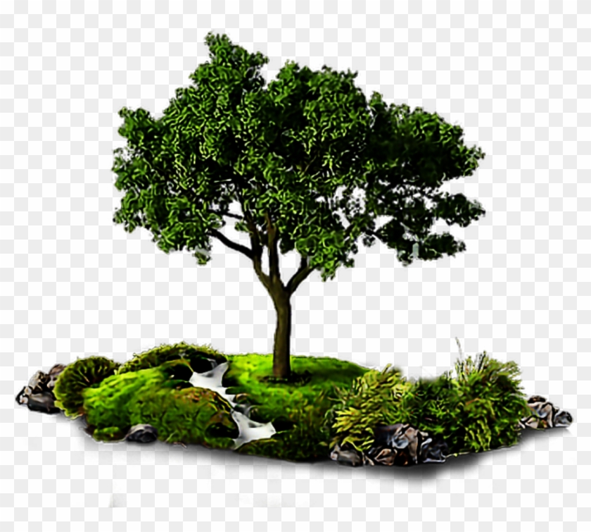 Arbre Sticker - Growing Tree Gif Animation Clipart #4267292