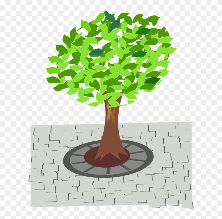 Street Computer Icons Arbre D'alignement Woody Plant - Tree In Street Clipart - Png Download