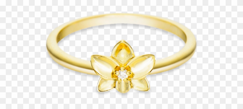 Anel Orquidea Vivara Clipart #4267808