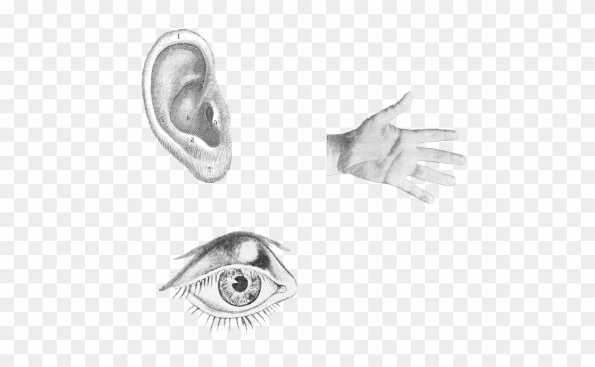 Consultation - Sketch Clipart #4267901