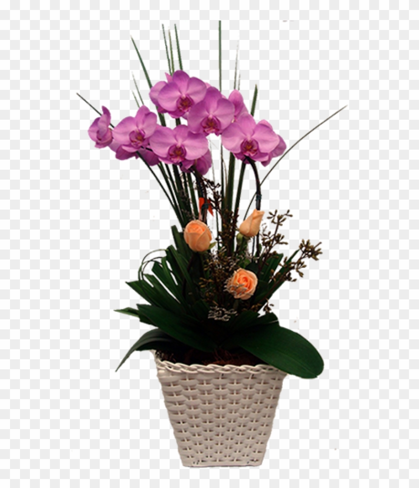 Linda Orquídea Phalaenopsis Lilas Para Presentear - Bouquet Clipart #4268312