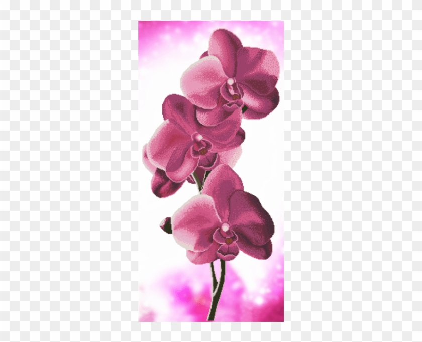 Kit De Bordado, Punto De Cruz, Esquema Para El Bordado - Орхідея Барвиста Вишиванка Clipart