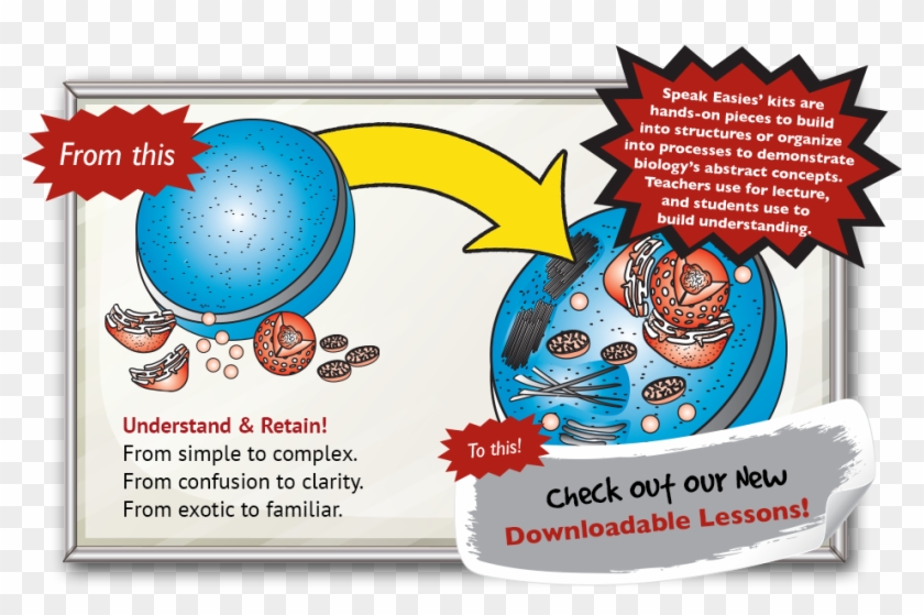 Banner - Illustration Clipart #4268384