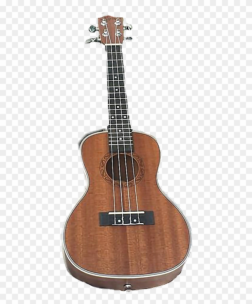 #moodboard #ukelele #aesthetic #niche #png #edit #freetoedit - Acoustic Guitar Clipart #4268424