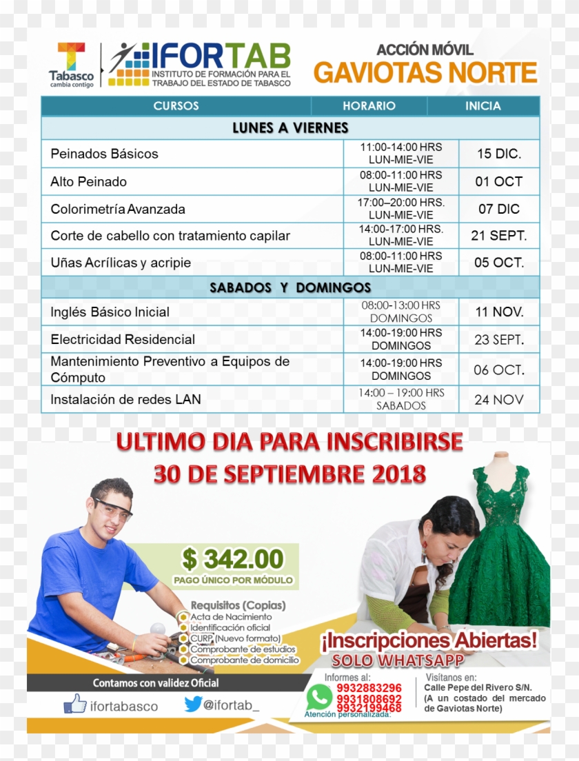 Gaviotas Norte 2 - Online Advertising Clipart