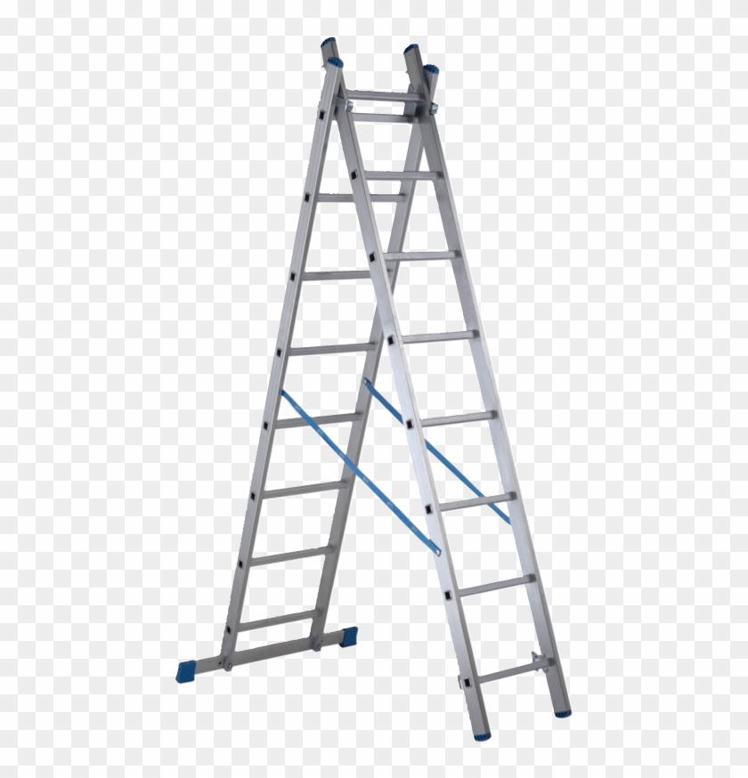 2 En - סולם ג 12 שלבים Clipart #4268878