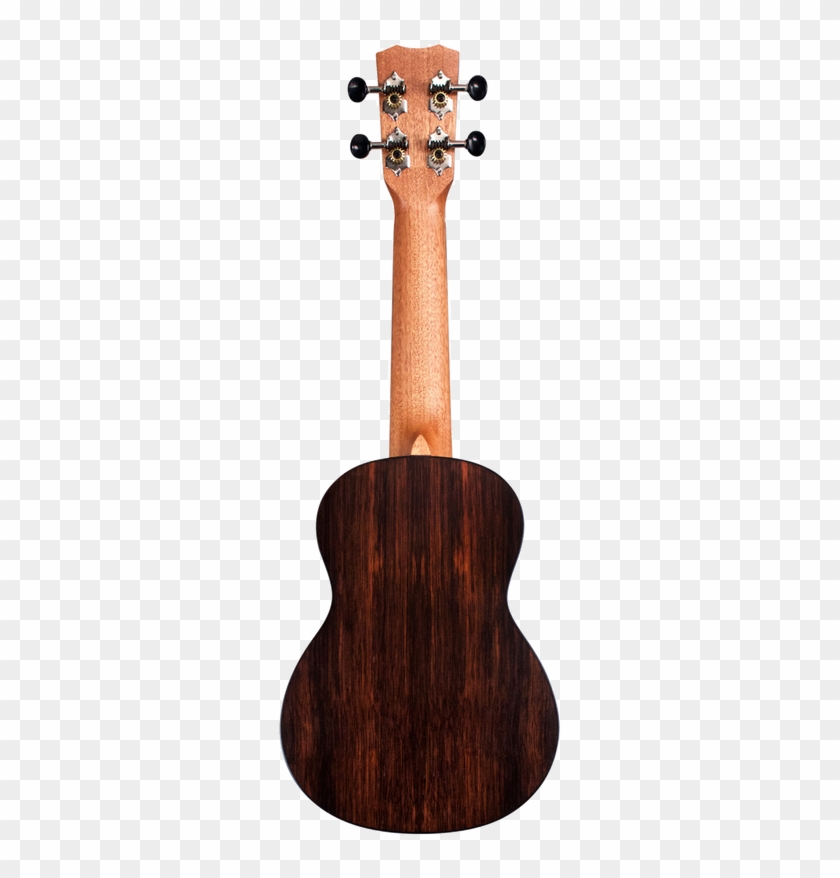 The 21 Series Applies The Most Popular Guitar Soundboard - D Angelico Acoustic Guitars Clipart