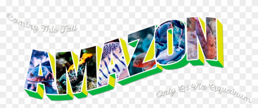 Amazon Banner Clock-1024x536 - Graphic Design Clipart