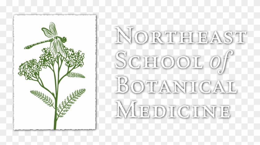 My Experience At Burning Man 2016 Or I Went To Burning - Approved Driving Instructors National Joint Council Clipart