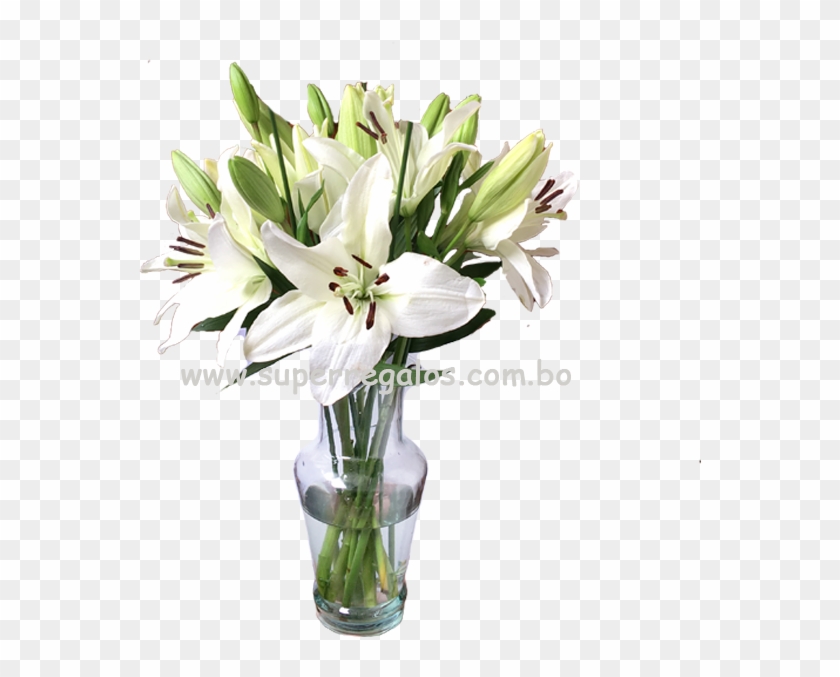 Florero Con Lirios Blancos Superregalos - Bouquet Clipart
